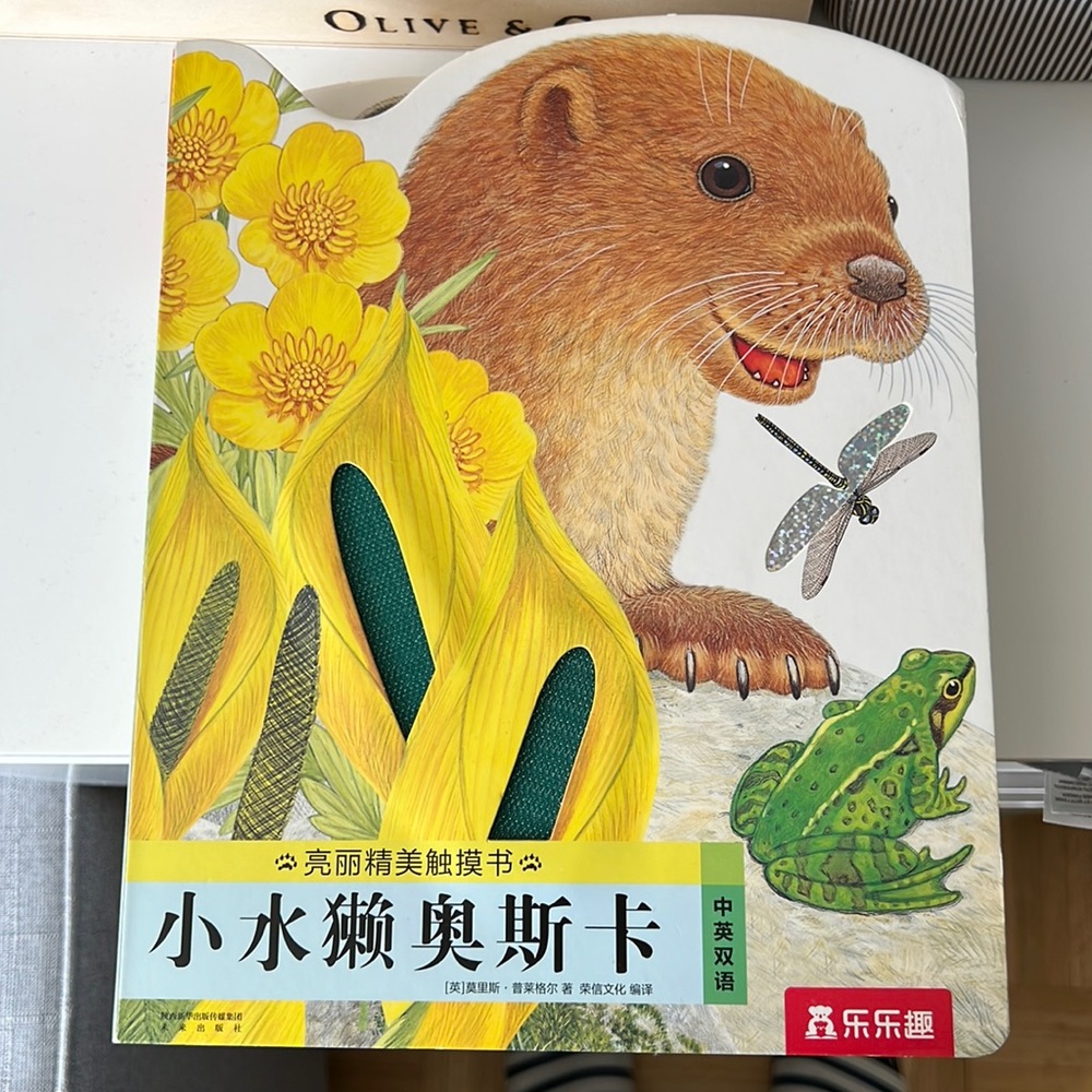 Touch board book 亮丽精美触摸书
